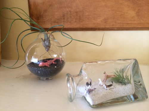 terrarium vase / bayareaassistant.com